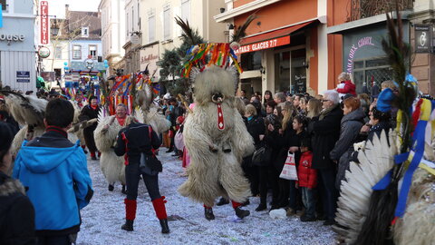 2014 CARNAVAL MULHOUSE, P039