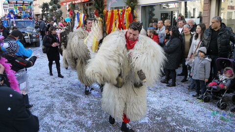 2014 CARNAVAL MULHOUSE, P041