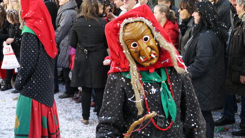 2014 CARNAVAL MULHOUSE, P049