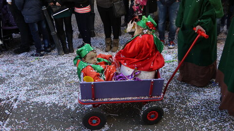 2014 CARNAVAL MULHOUSE, P056