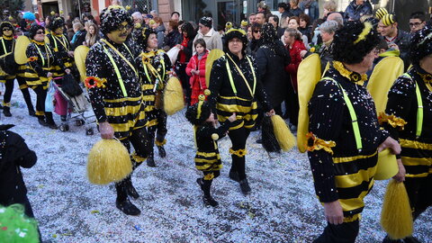 2014 CARNAVAL MULHOUSE, P076