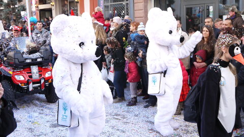 2014 CARNAVAL MULHOUSE, P077