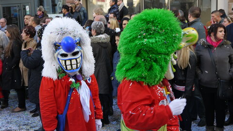 2014 CARNAVAL MULHOUSE, P078