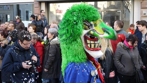 2014 CARNAVAL MULHOUSE, P079
