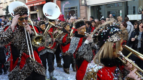 2014 CARNAVAL MULHOUSE, P081