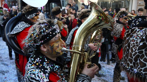 2014 CARNAVAL MULHOUSE, P082