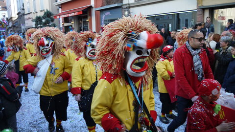 2014 CARNAVAL MULHOUSE, P083
