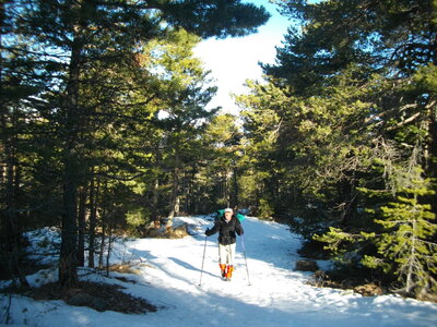 CRÊTE DES MELEZES - TÊTE DE CHARBONNIER, Montée vers la Montagnette