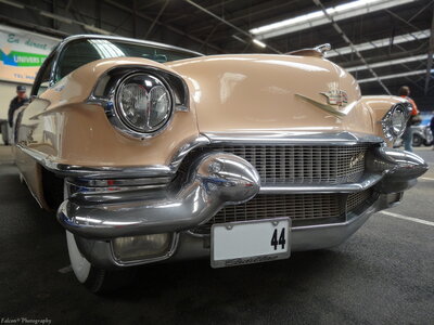 American Dream, DSC00687
