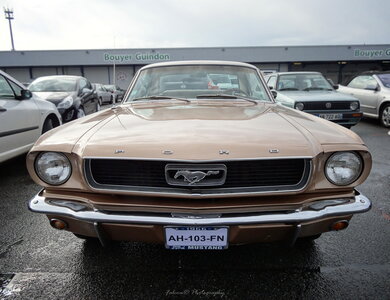 American Dream, DSC00439
