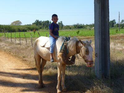 Véro Patrick Cuba2014, P1000593