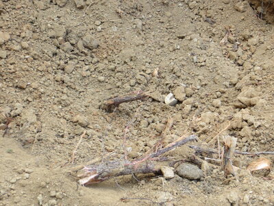 TRAVAUX, IMG_0689