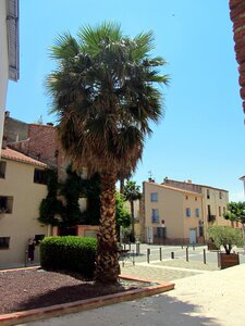 St Nazaire,Canet en Roussillon,Salses., IMG_3577