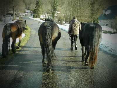 aulus les bains- centre equestre été/hiver 2013, PC250292