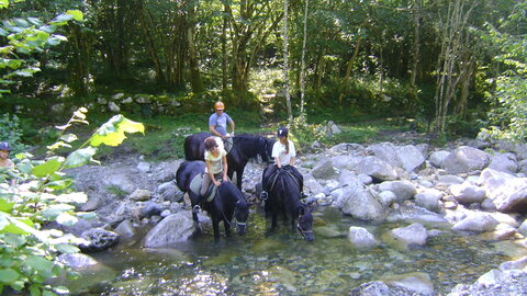 aulus les bains- centre equestre été/hiver 2013, DSC07054