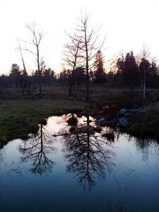Nature photography 2014 , 1958268_671201189584636_92996981_n