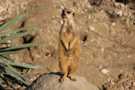 zoo, IMG_1900