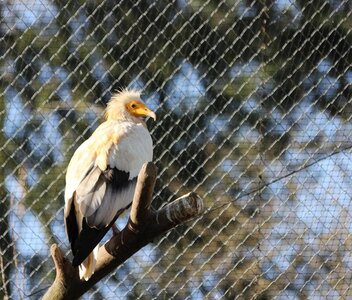 zoo, IMG_1895