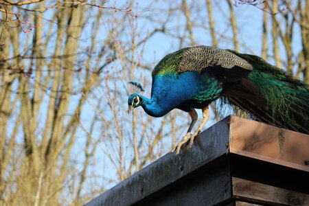 zoo, IMG_1891