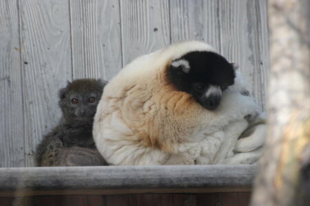 zoo, IMG_1869