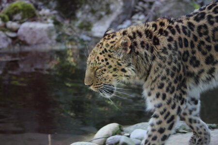 zoo, IMG_1855