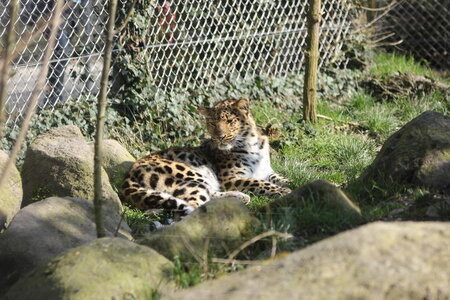 zoo, IMG_1852