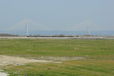 Pont de Normandie, Pont de normandie  125 