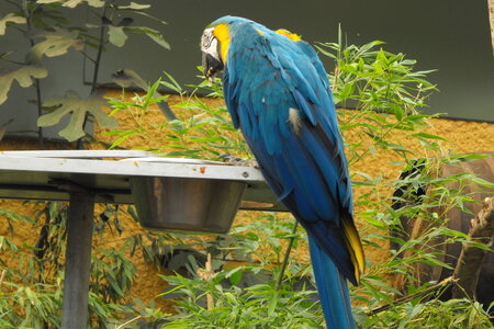 Cerza, Parc Cerza 015