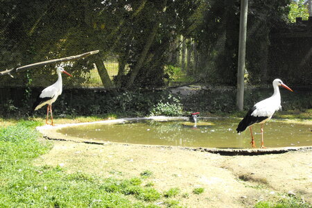 Cerza, Parc Cerza 033
