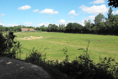 Cerza, Parc Cerza 069