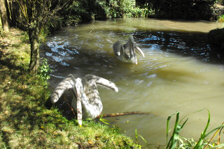 Cerza, Parc Cerza 070