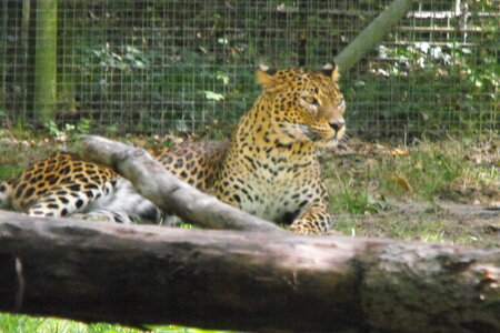 Cerza, Parc Cerza 082