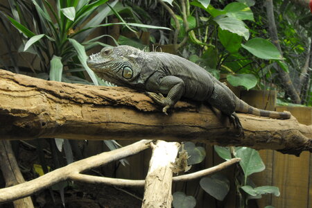 Cerza, Parc Cerza 150