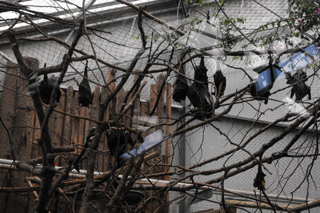Cerza, Parc Cerza 165
