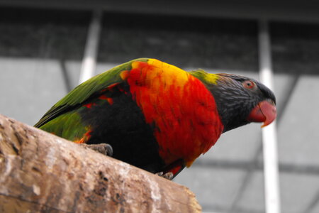 Cerza, Parc Cerza 178
