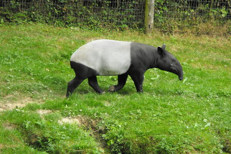 Cerza, Parc Cerza 206