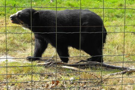 Cerza, Parc Cerza 208