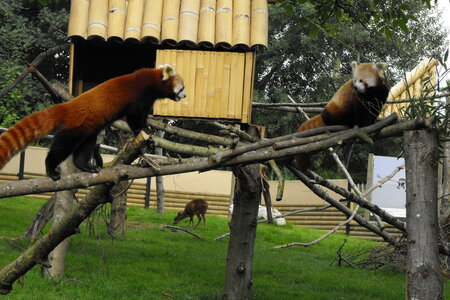 Cerza, Parc Cerza 286