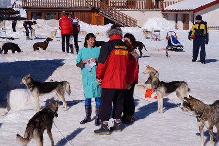 La Pesse 2014 Course de chiens de traineau (vendredi 7 Samedi 8/03/2014), DSC05027