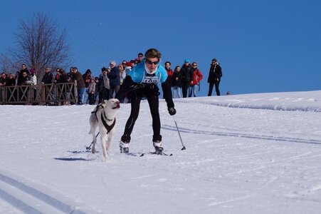 La Pesse 2014 Course de chiens de traineau (vendredi 7 Samedi 8/03/2014), DSC05035