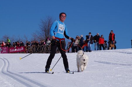La Pesse 2014 Course de chiens de traineau (vendredi 7 Samedi 8/03/2014), DSC05040