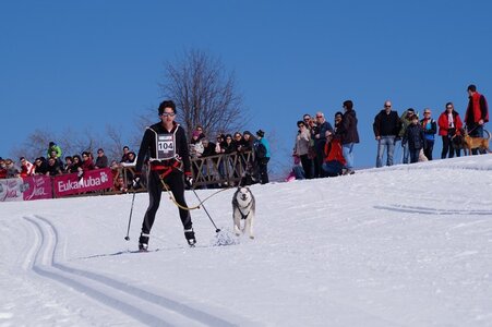 La Pesse 2014 Course de chiens de traineau (vendredi 7 Samedi 8/03/2014), DSC05041