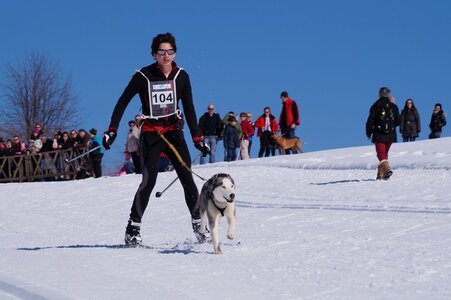 La Pesse 2014 Course de chiens de traineau (vendredi 7 Samedi 8/03/2014), DSC05042