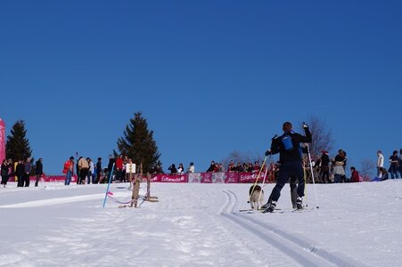 La Pesse 2014 Course de chiens de traineau (vendredi 7 Samedi 8/03/2014), DSC05047