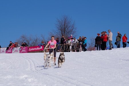 La Pesse 2014 Course de chiens de traineau (vendredi 7 Samedi 8/03/2014), DSC05054