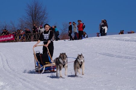La Pesse 2014 Course de chiens de traineau (vendredi 7 Samedi 8/03/2014), DSC05056
