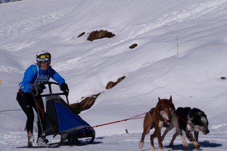La Pesse 2014 Course de chiens de traineau (vendredi 7 Samedi 8/03/2014), DSC05066
