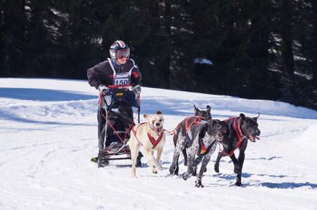 La Pesse 2014 Course de chiens de traineau (vendredi 7 Samedi 8/03/2014), DSC05123