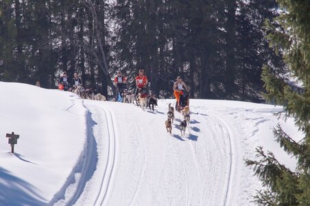 La Pesse 2014 Course de chiens de traineau (vendredi 7 Samedi 8/03/2014), DSC05127