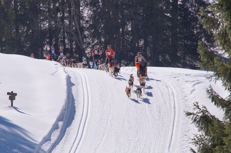 La Pesse 2014 Course de chiens de traineau (vendredi 7 Samedi 8/03/2014), DSC05129